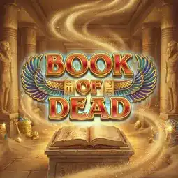 Book of Dead game at WildCardCity Casino for Australian players