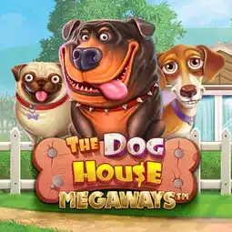 The Dog House Megaways game at WildCardCity Casino for Australian players
