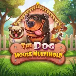 The Dog House Multihold game at WildCardCity Casino for Australian players